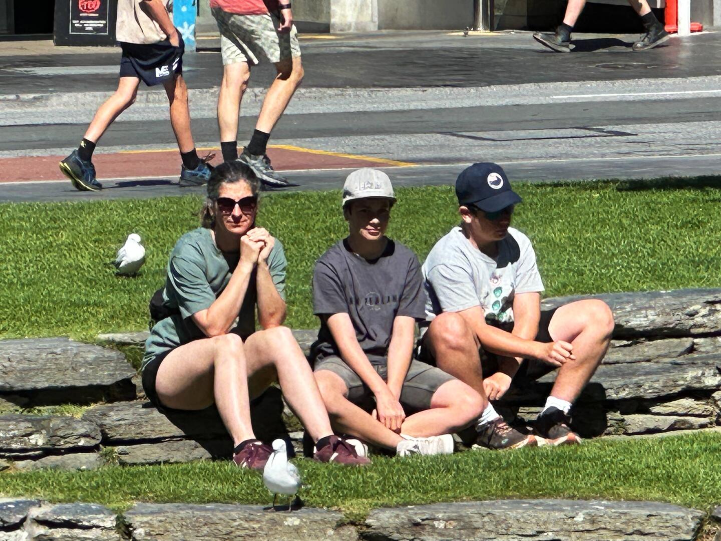 Die Möwen und Enten kommen zum anfassen nahe...