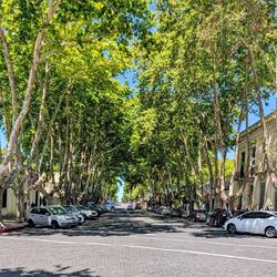 Typical approach of creating shade with trees, used throughout the region.