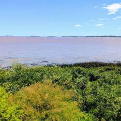 River Plate vista. Note brown water colour! It's a natural phenomenon.