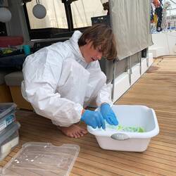 Bent mischt die Farbe des Gelcoats an