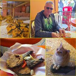 Jörg - lecker frittierter Fisch und das Kätzchen wartet auf Almosen.