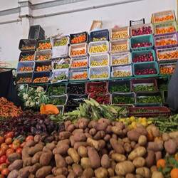 Die Erntesaison ist im vollen Gange.