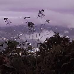 Nachts leuchtet die Stadt