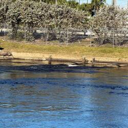 Da blubbert es "warm" raus