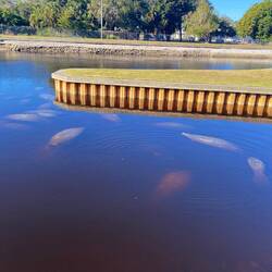 Wassertemperatur in diesem " Becken" = 27Grd C.