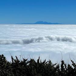 in Hintergrund der höchste Berg Spaniens, der Teide auf Teneriffa