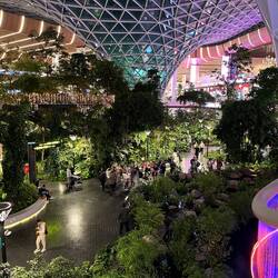 Garten im Flughafen Doha