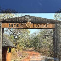 Good bye Nico lodge