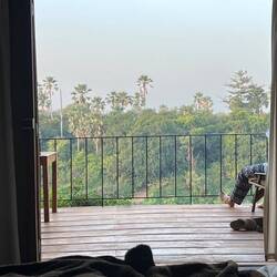 View straight out of our bed