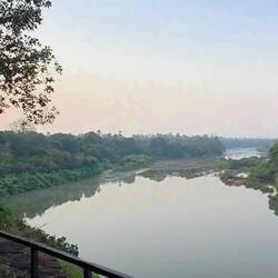 Morning in the African bush