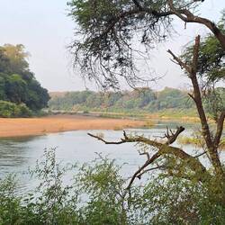 Wonderful sand banks for animals and crocs