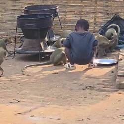 So the little boy decided to do a separate party with his friends