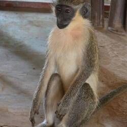 I didn't get anything😢