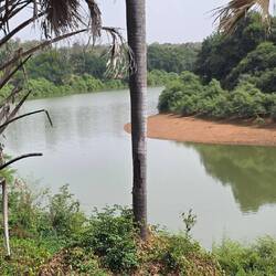 But an incredible view