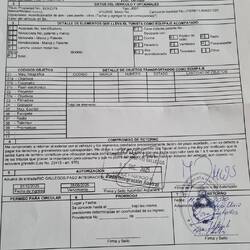 So sieht ein TIP (Temporary Import Permission) für Grobi aus.