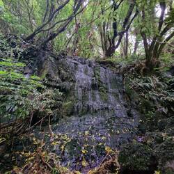 Matai Falls
