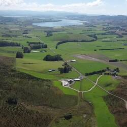 Whale Fossil Lookout