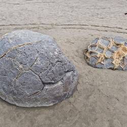 Moeraki Boulders Beach