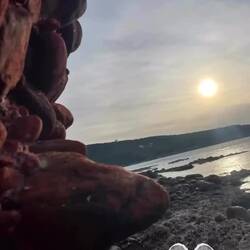 ..Natur pur hier in Mani 🇬🇷