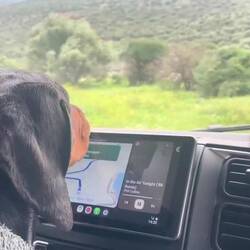 ..ab mit uns. Ein windstiller Platz lässt sich bestimmt finden..🍀😇