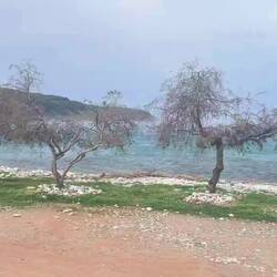 ..am letzten Morgen gibt's noch ein Rüttel Schüttel Kino zum Frühstück und wir sind noch müde😴🐾😴