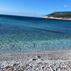 ..wieder retour daheim. Lesley hat in der Villa🚐 alles verschlafen 🐾😴