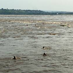 Schwimmen in den Stromschnellen