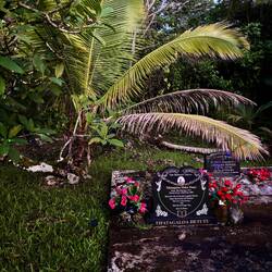 Deze had zelfs lichtjes (ergens random in de berm)