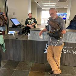 This guy had a Harris's Hawk.