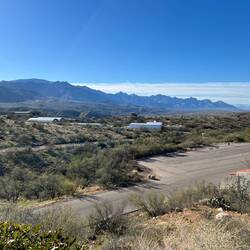 View looking out at some of the grounds.