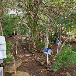 There were several types of plant areas.