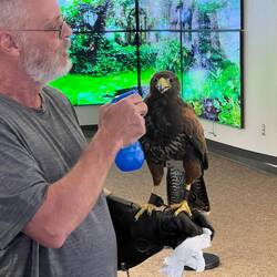 Spraying it water to drink as it was a bit stressed from the activity around it.