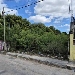 Müll am Wegesrand ist leider oft die mexikanische Realität