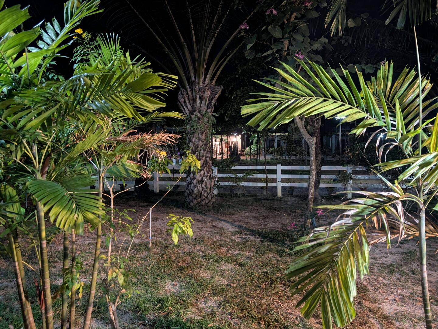 Ausblick aus unserem Zimmer Gute Nacht