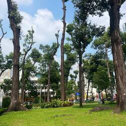 There were quite alot of nice old trees