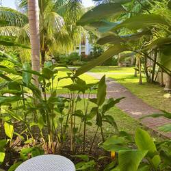 Ausblick Zimmer Nr. 2️⃣