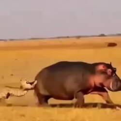 noch etwas zum schmunzeln (nicht von uns)