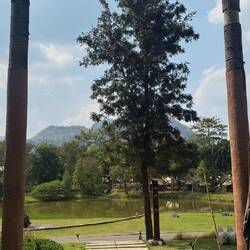 Lala Mukha Tented Khao Yai