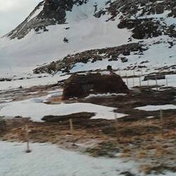 Eine Hütte der Sami