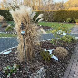 Schöne Gartenanlage