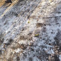 völlig vereister Weg