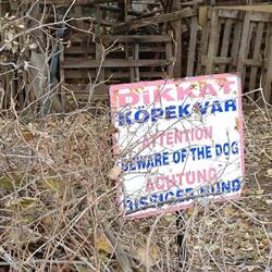 Bisher war hier kein Hund bissig.