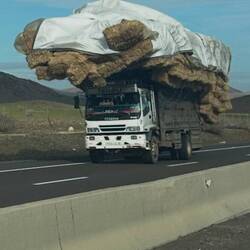 Den haben wirbauf der Autobahn "erwischt"