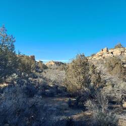 Und jetzt stolpern wir durch den Canyon.