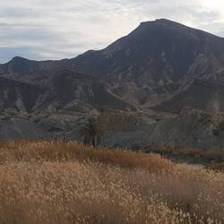 Ganz schön zerklüftet!