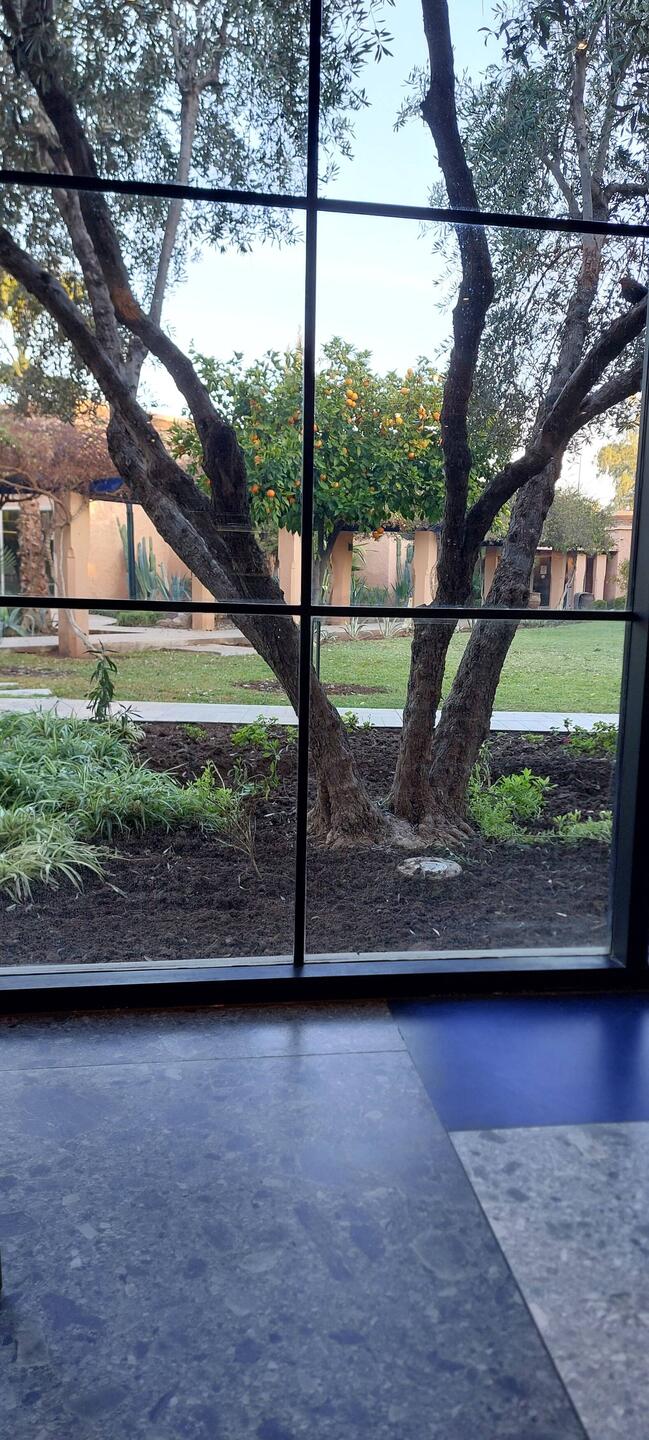 Ausblick beim Frühstück