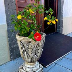 der Eingang zur Kirche