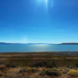 Busfahrt entlang des Lago Argentino