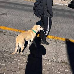 Wir haben Gesellschaft beim Warten