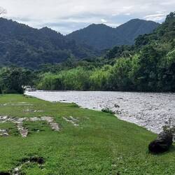 Morgens ist es etwas lichter